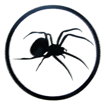 silver spyder sam podcast artwork