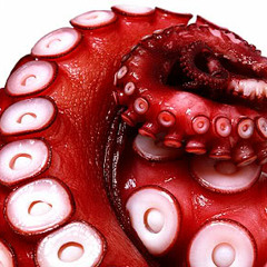 DrRocktopus