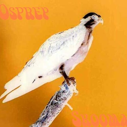 Stream OSPREY music | Listen to songs, albums, playlists for free on ...