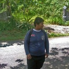 Muhammad Alie Ibrahim