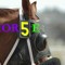 hor5e