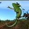 Vince LaGrenouille