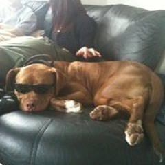 Luke PlusOne Courtney