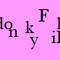 donkyflip
