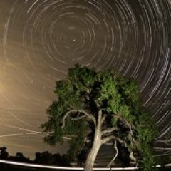 Cory Michael Parrottino