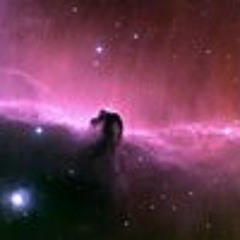 John Morrill