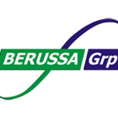 Berussagroup