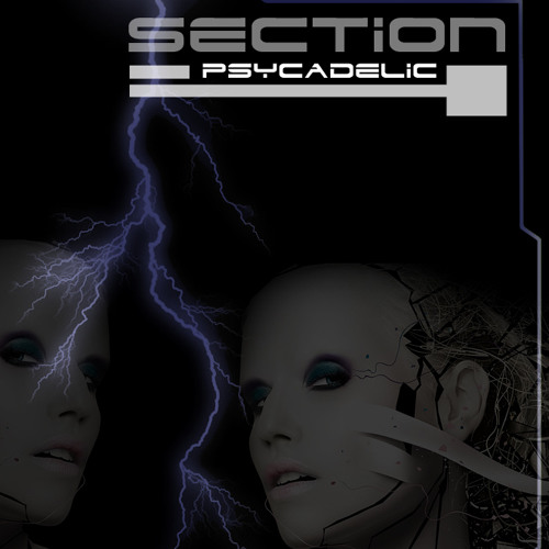 Section4music’s avatar