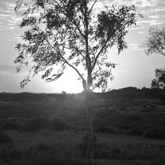 They'll Fall In Time