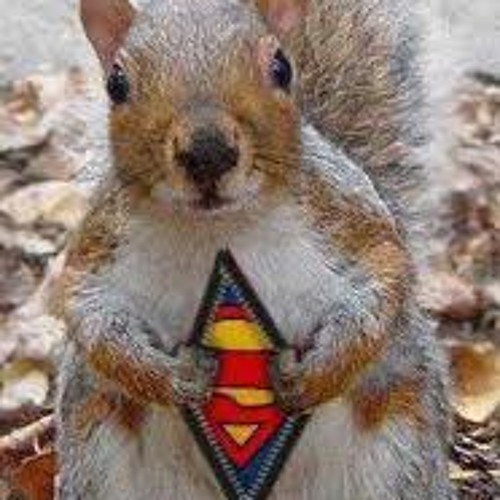 Qu'on Doneren Garda+1