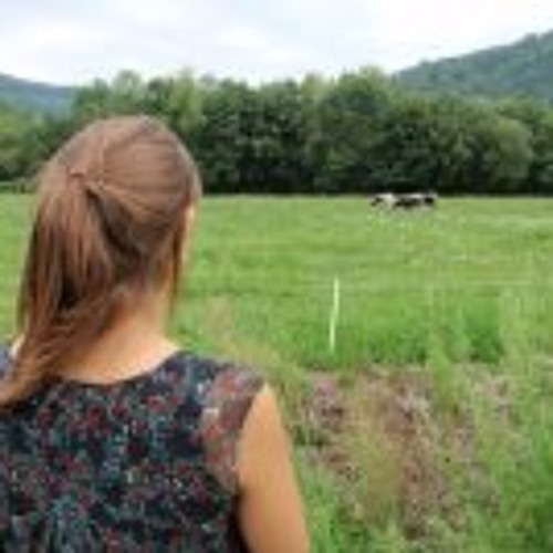 WHITEY-BRIEF AND BRIGHT