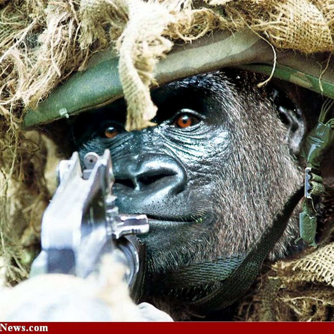 avatars-000005259580-r7xw8s-