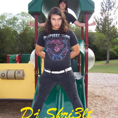 Dj Skri3lt