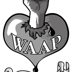 WAAP Records