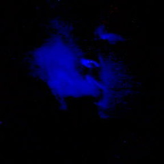 Remix - Fiva - Immer Noch