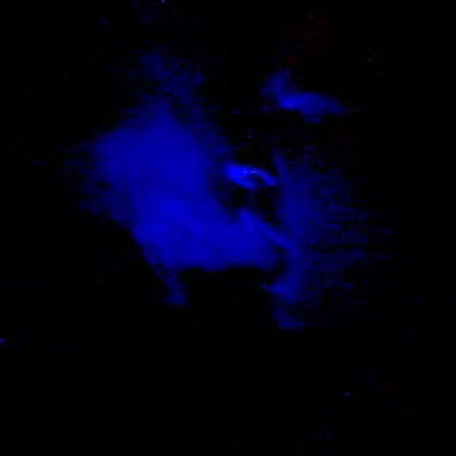 Remix - Fiva - Immer Noch