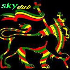 sky dub