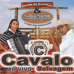 04 Saga do vaqueiro