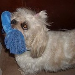 Fraser Fred Hawksworth