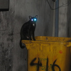 13 桜 (Mad Professor's Lovers Rock Dub)