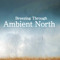 Ambient North