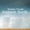 Ambient North
