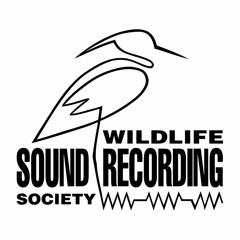 Wildlife Sound Recording