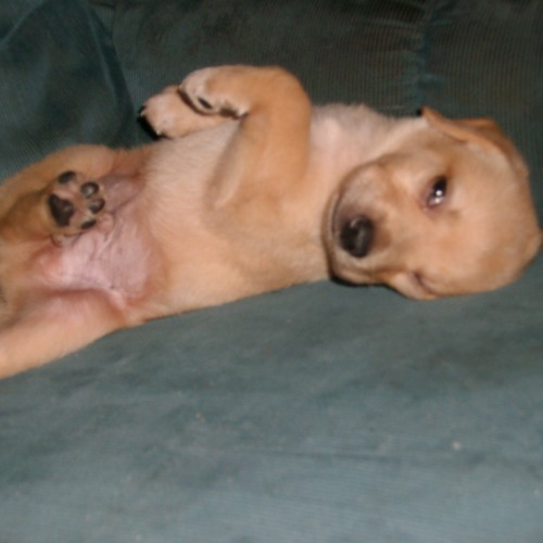 Here I Am - Bryan Adams