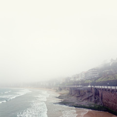 Friendship is a Virtue