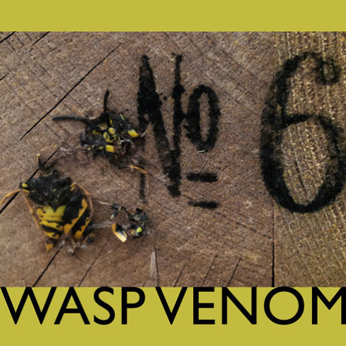 wasp venom’s avatar