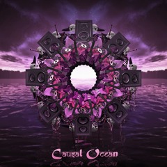 causalocean