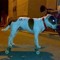 fiodor.fdr