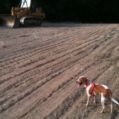 Nate And Joe 10 - 16 - 15 Track 7 Bells And Drums