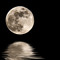 MY MOON