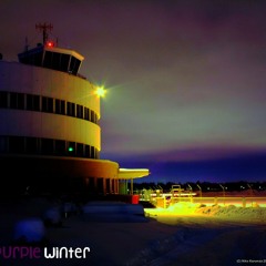 Purple Winter