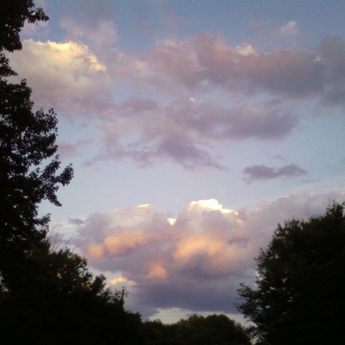 Ambient 1