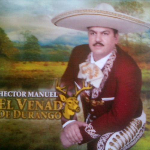 El Venado De Durango’s avatar
