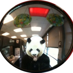 Paul Simon - Crazy Love, vol II at Fox theatre