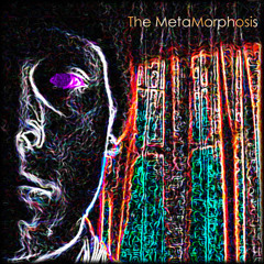 The MetaMorphosis