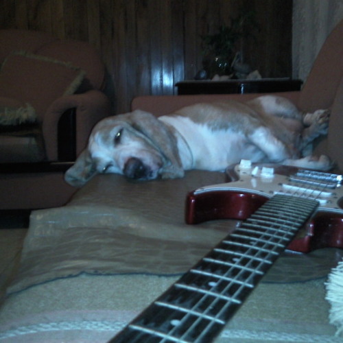 Mi vida eres tú (swing version)