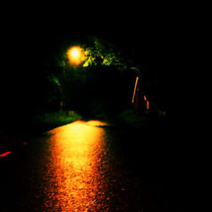 The Disease Peep Show