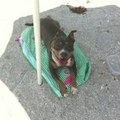 Bree Effing Joren-Disney