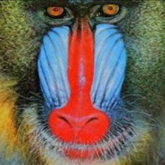 Victor Repolho Faria