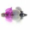 Sole 2 Soul Therapies