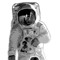the Astronaut