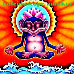 kaleidoscope monkey