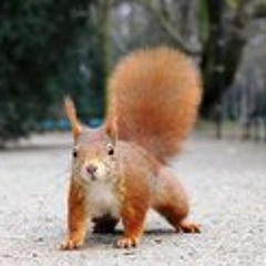 Hyppolite Jean Bleuko