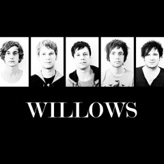 Willowsmusic