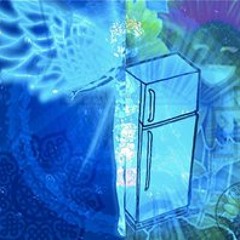 Fridge Organíc