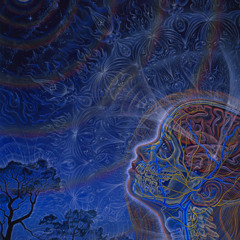 Cosmic Brain aka Djan